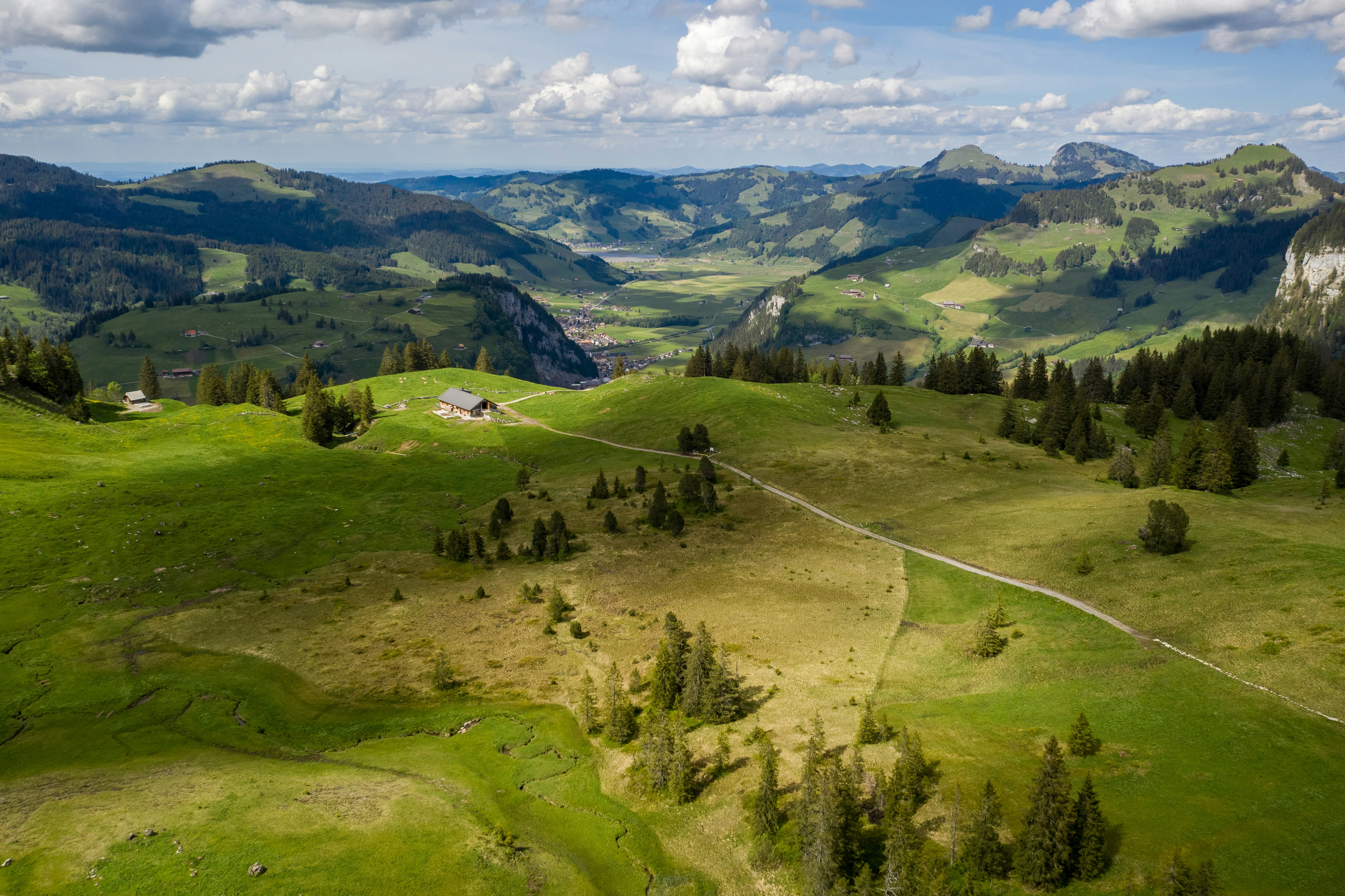 green grass field and trees on mountain during daytime